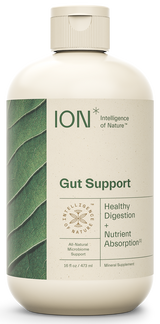 ION* Gut Support 16 fl oz