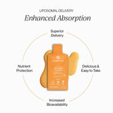 Liposomal Advanced Creatine (Tangerine Vanilla)