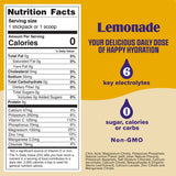 Electrolyte Powder Mix (90 Servings)