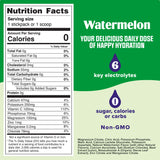 Electrolyte Powder Mix (90 Servings)