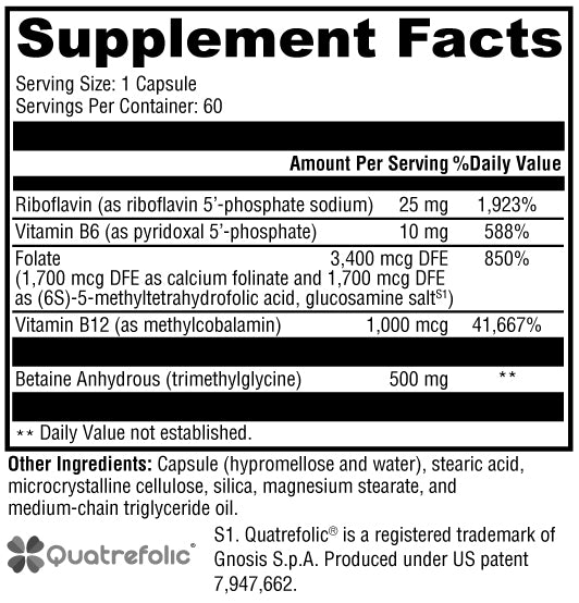METHYL FACTORS (60 Capsules)